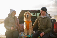 Ruffwear Quinzee Jacket - Final Sale*